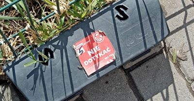 Właściciele nieruchomości muszą przeprowadzić deratyzację